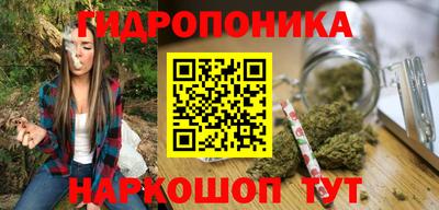 герыч Кингисепп