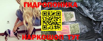 герыч Кингисепп