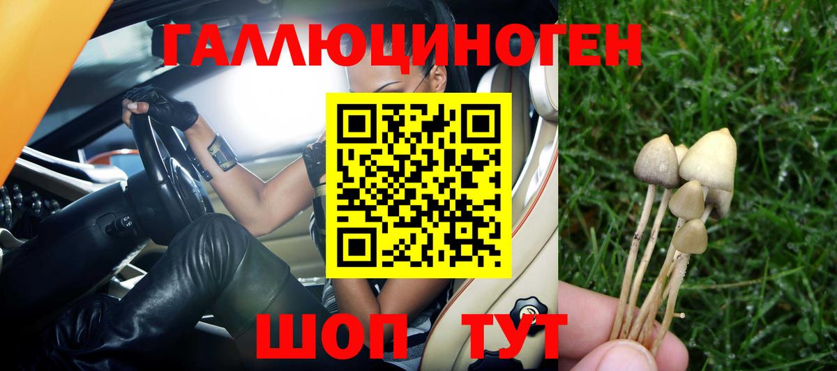 Псилоцибиновые грибы MAGIC MUSHROOMS  Вход с VPN  Шарыпово  Галлюциногенные грибы Cubensis 